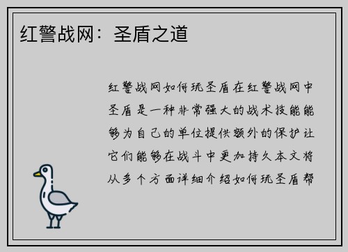 红警战网：圣盾之道